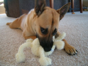 miss sayde...