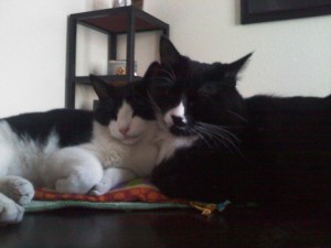 ahh..my boyz